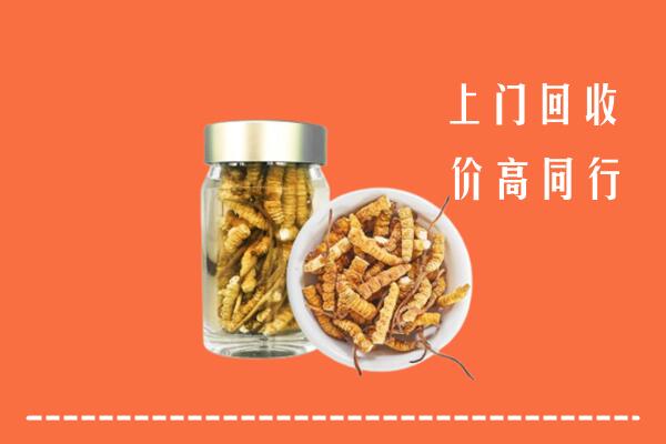 邯郸市回收冬虫夏草