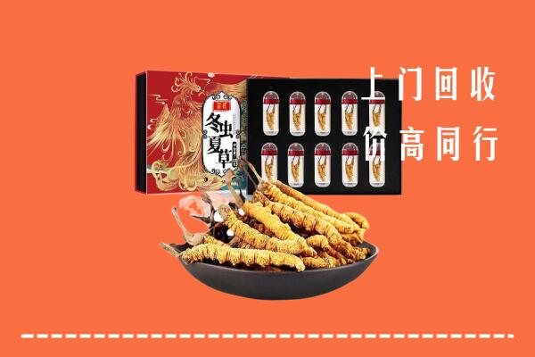 邯郸市回收虫草
